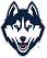 Uconn Husky